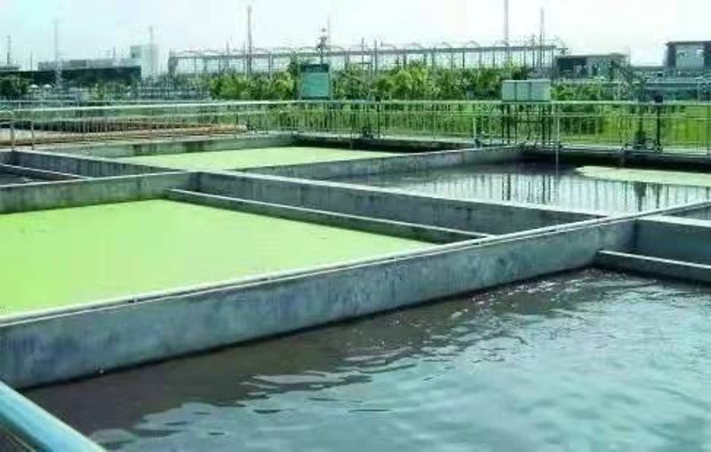 探索未来：环境工程行业的发展趋势与挑战